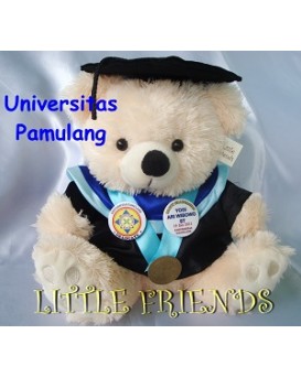 Boneka Wisuda Universitas Pamulang - Teknik (30 cm)